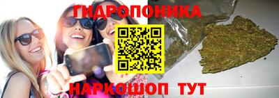 МДПВ Моздок