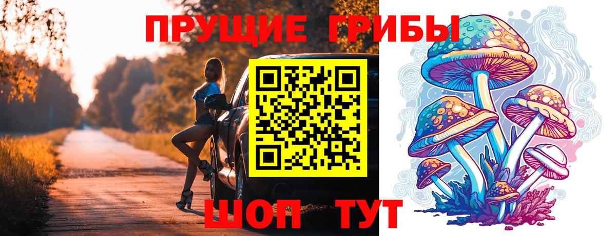 где купить наркоту  Вход с VPN  Беслан  Галлюциногенные грибы Psilocybine cubensis 